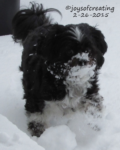 Shelibean the Snow King (crop from larger image)