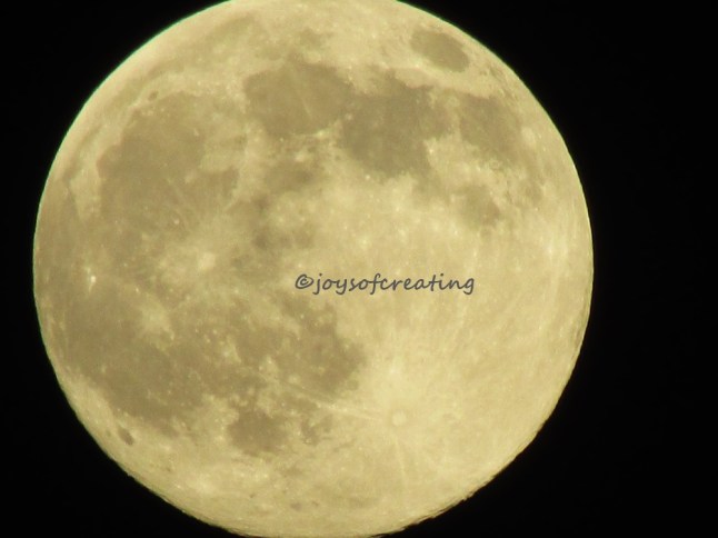 Click on this photo to open open up a larger photo