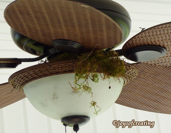 Fan Bird Nest | Joys Of Creating