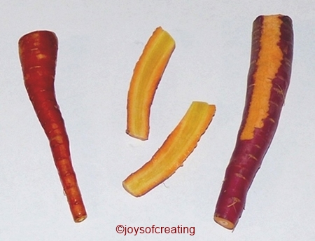 purplecarrots